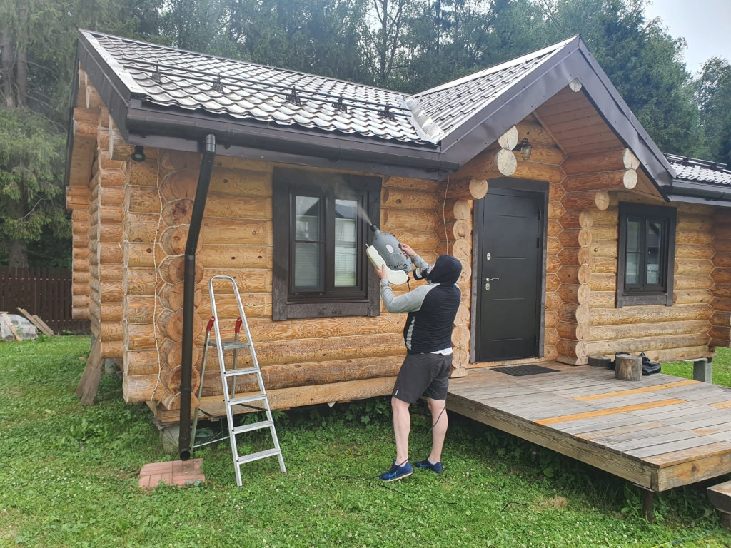 Обработка дачного участка от шершней и их гнезд в г. Железнодорожный