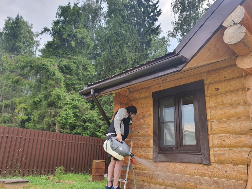 Обработка дачного участка от ос в Электрогорске
